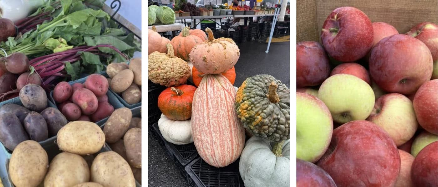 Oct. 3: What’s to Expect at the Saturday Farmers Market | The Chelsea Post